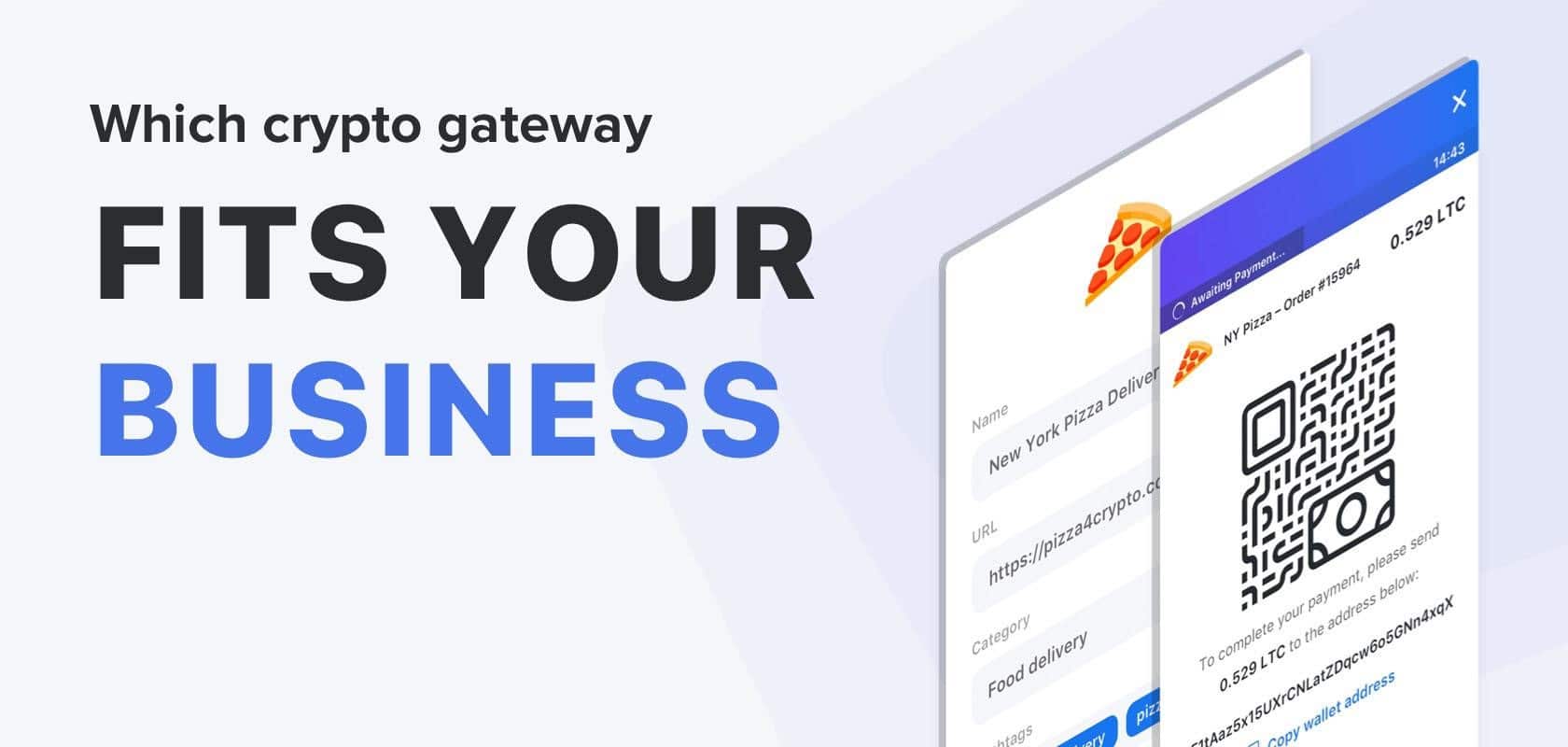 Which Cryptocurrency Gateway Fits Your Business Needs