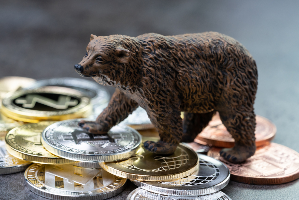 How to Spot a Bear Market Early: 7 Warning Signs Smart Traders Watch