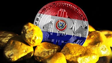 Haslabs Minings Co-founder Warns Bitcoin Mining Ban to Cost Paraguay $200M Annually